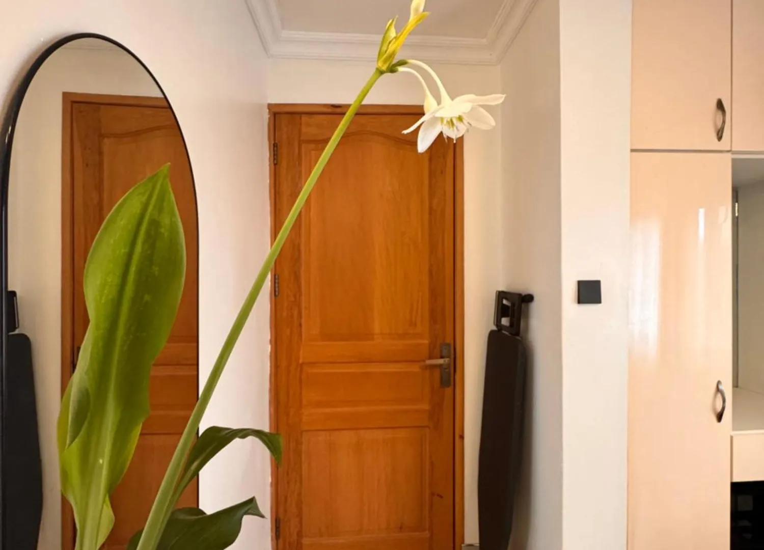 Apartament Eka256 Kampala Uganda